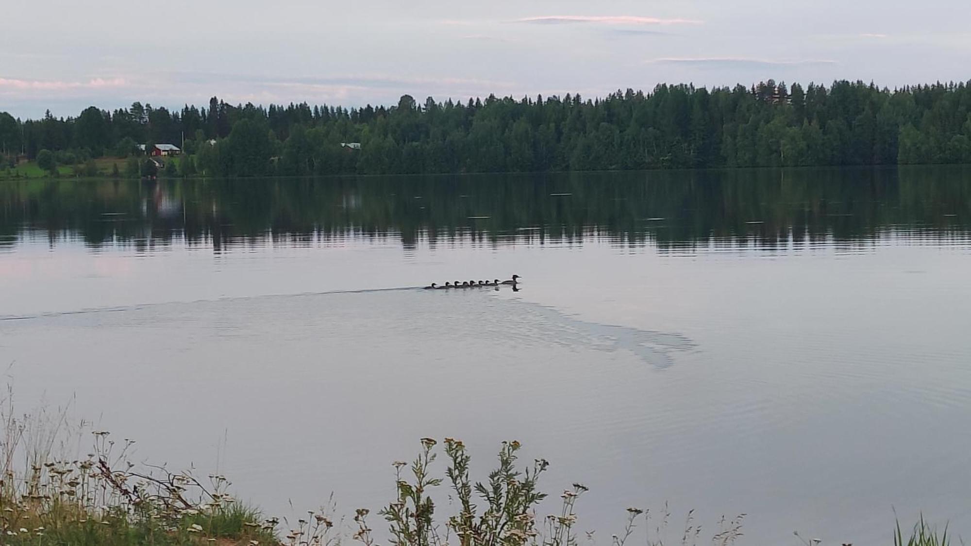Вілла Mukava Mummonmoekki Maaseudun Rauhassa Koivu Екстер'єр фото